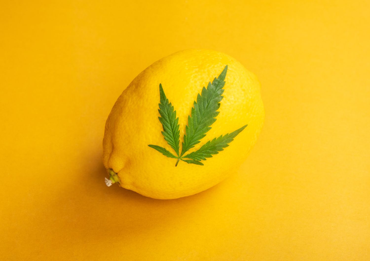 Limonene: The Uplifting Citrus Terpene