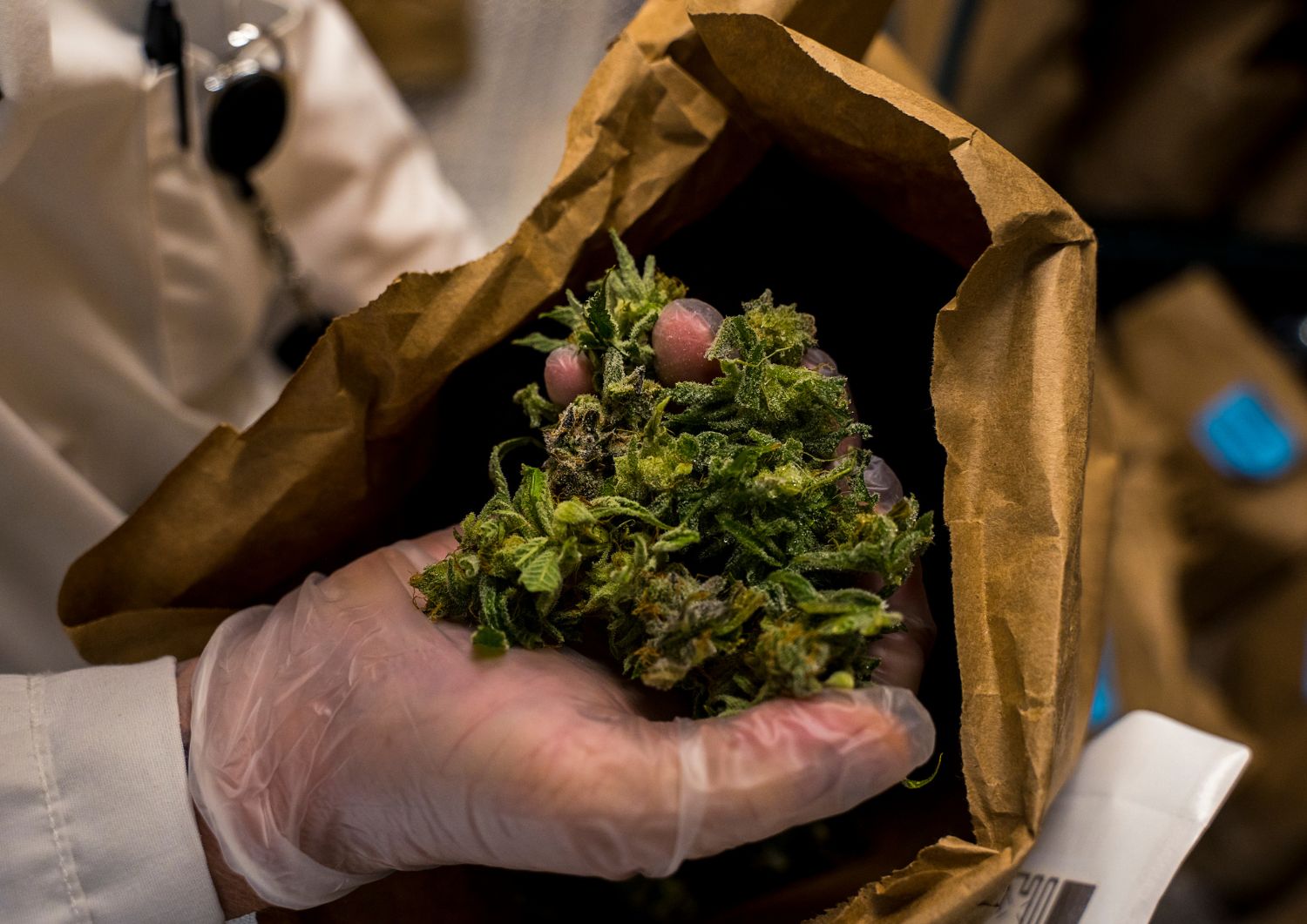 Common Cannabis Terpenes and Their Effects