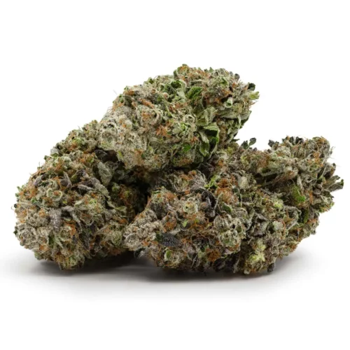 Buy Bulk Gangster Kush Strain - Cheap Weed Pounds & Reviews