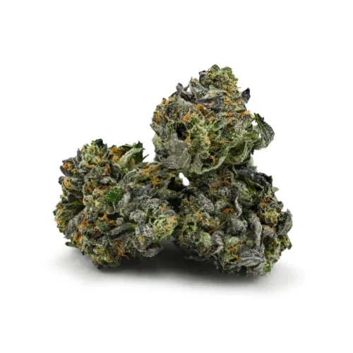 Gucci Pink *smalls/popcorn*