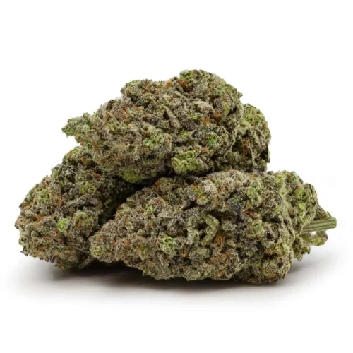 Cannalope Haze