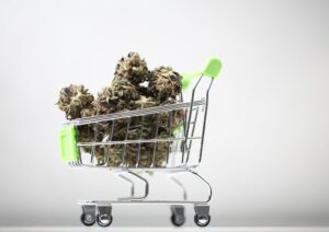 Cannabis Trends: Why Bulk Buying Saves in 2025