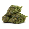 G13 Gas