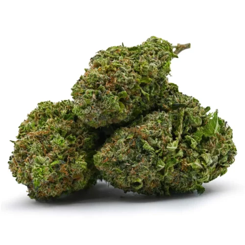 Snoop Dogg OG