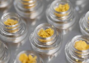 Bulk Concentrate Buying Guide – Maximize Savings in Spring 2026