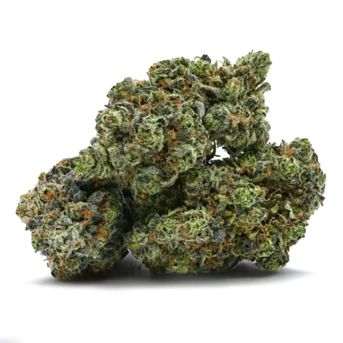 Blackberry Kush
