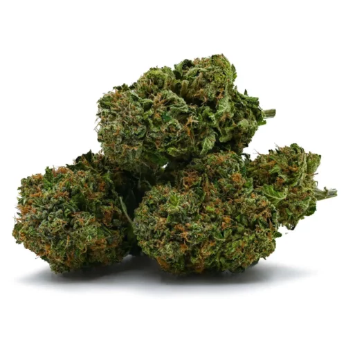Fire Bubba