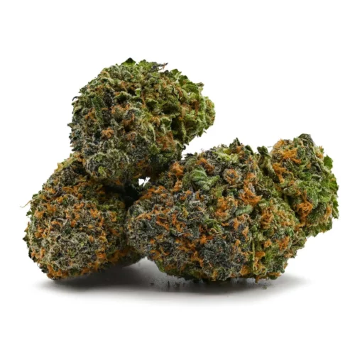 Orange Creamsicle