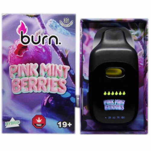 Burn Extracts – Pink Mint Berries (Hybrid) 3g Disposable Vapes