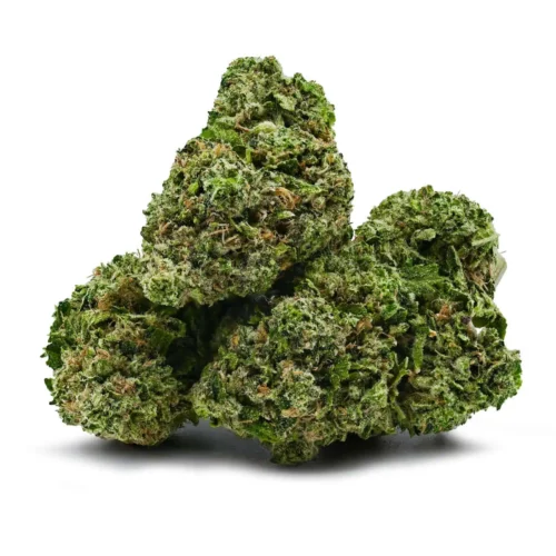 Pink Rockstar