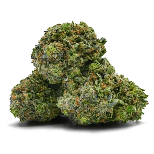 Pre 98 Bubba