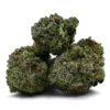 Master Bubba