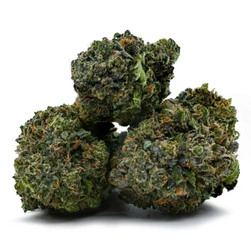 Master Bubba