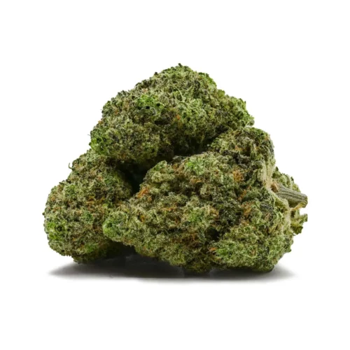 Sour Watermelon Haze