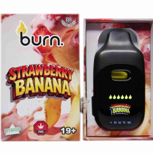 Burn Extracts – Twizzler (Indica) 3g Disposable Vapes
