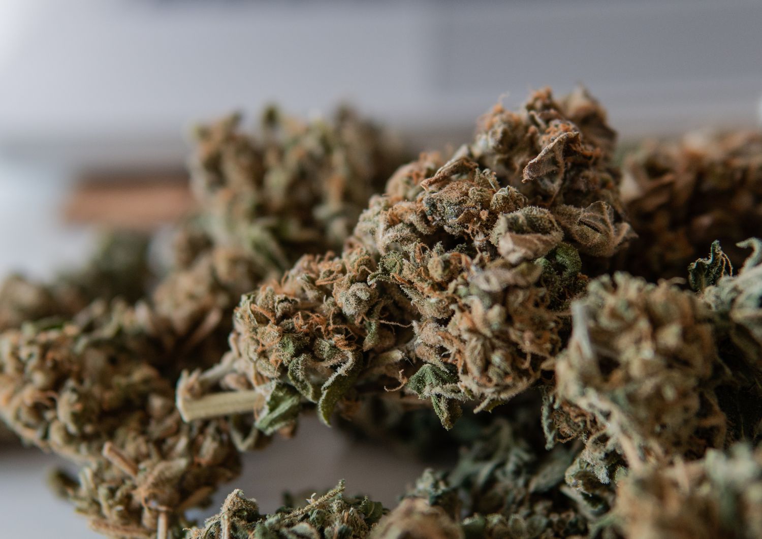 How Buying in Bulk Enhances Your Experience with Indica Strains