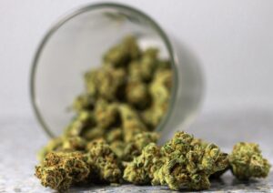 Why Bulk Indica Strains Deliver Unmatched Relaxation on a Budget