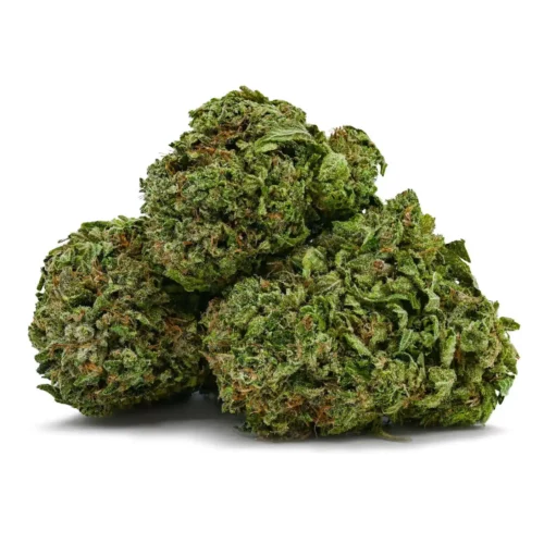 Comatose OG
