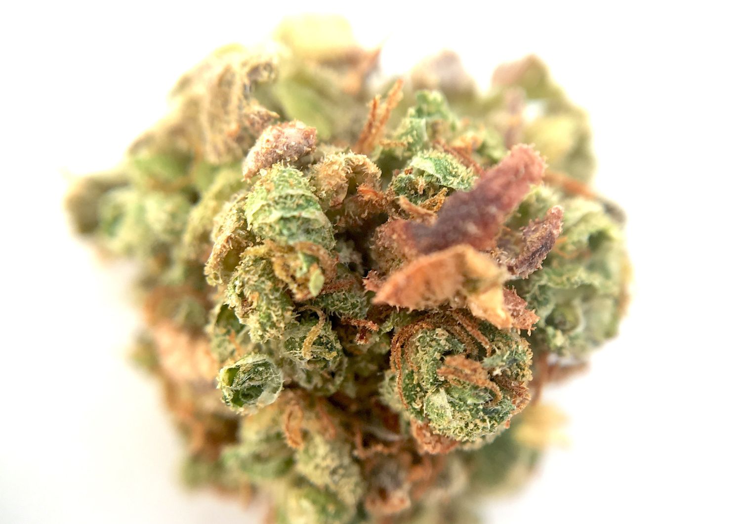 The Science Behind Daily Use of AAAA+ Strains