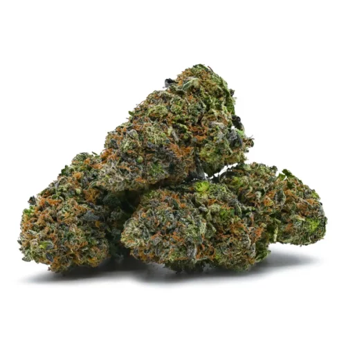 Afghan Kush