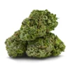 Master Kush