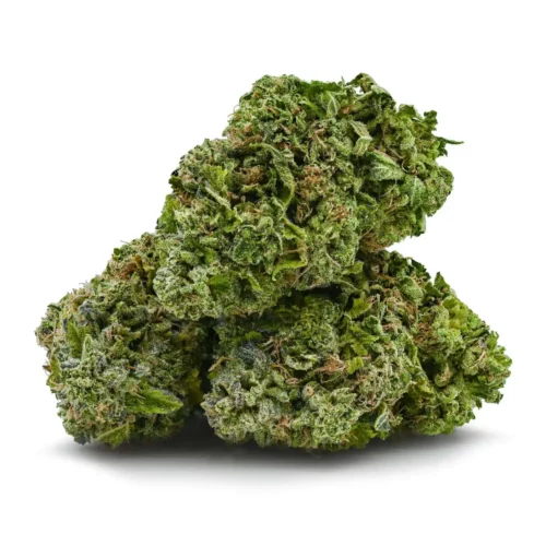 Master Kush
