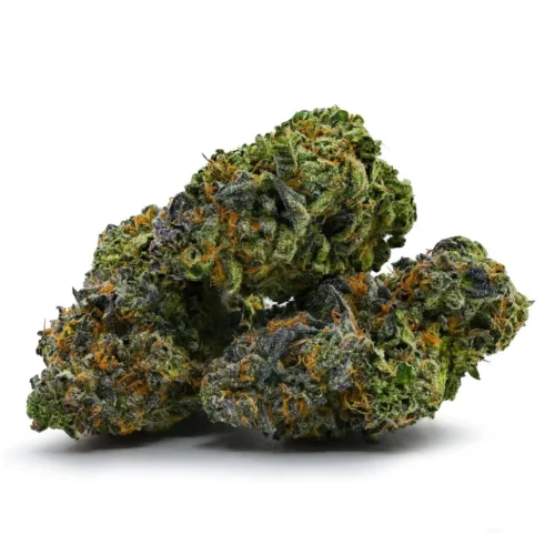 Hash Plant