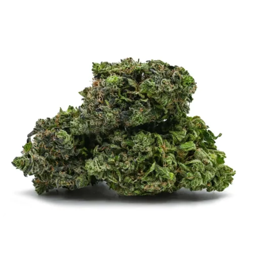 Gas Mask Bubba