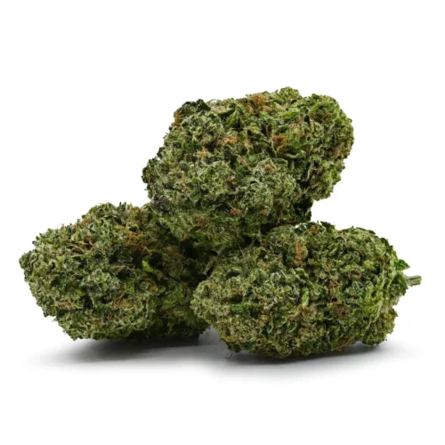 Pink Bubba