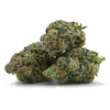 Purple Mac