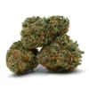 Jack Herer