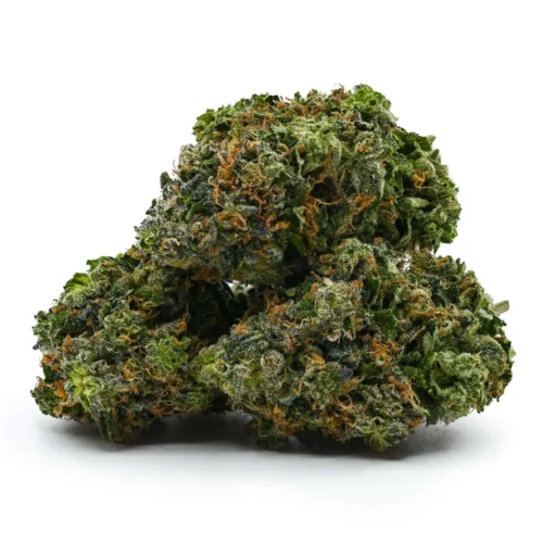 MK Ultra