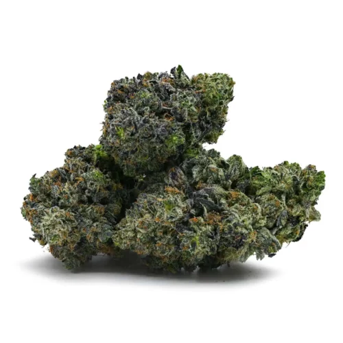 Bluefin Tuna Kush