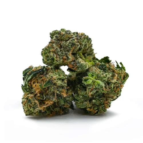 Pink Candy *smalls/popcorn*