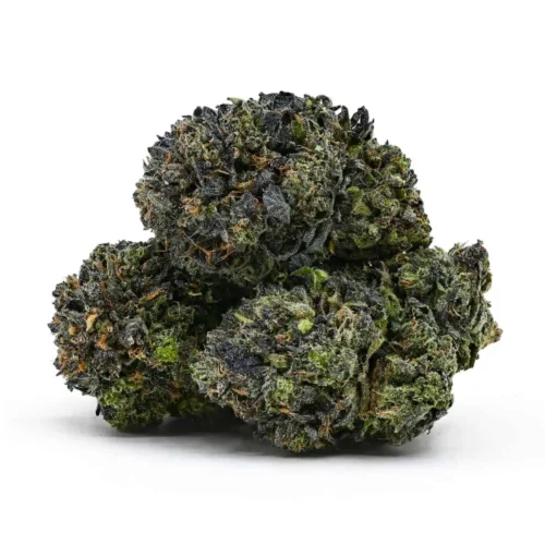 Purple OG Kush