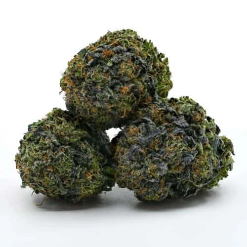 Bubba 91