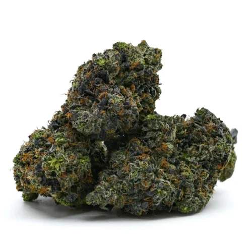 Bubba God By Bubba Kings
