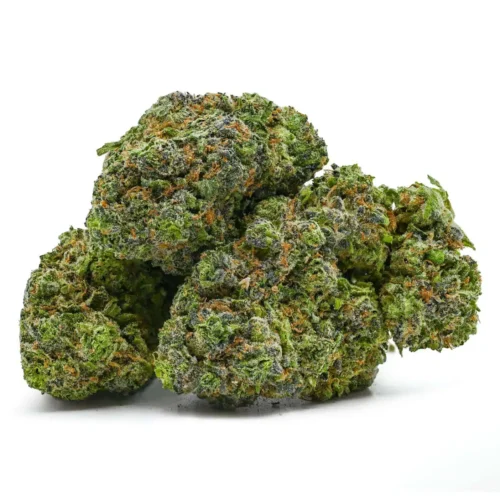 Cherry Skunk