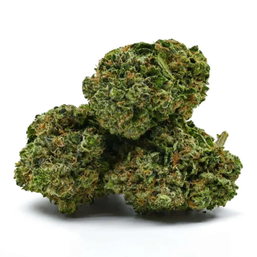 Rockstar Bubba